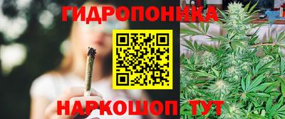 мяу мяу мука Будённовск
